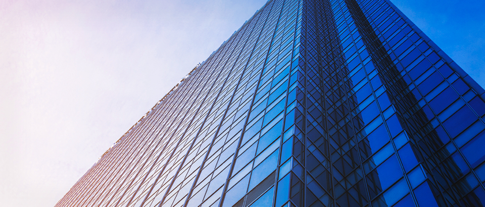 Real Estate Developers + Owners