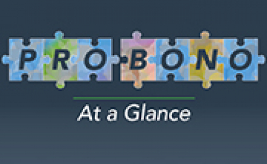 Pro Bono - At a Glance teaser