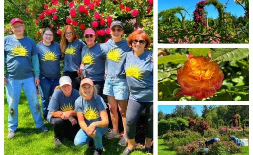 <p><strong>Summer of Service: Hartford</strong></p>

<p>Robinson+Cole&rsquo;s 2025 Summer of Service initiative kicked-off as volunteers from the firm&rsquo;s Hartford office returned to West Hartford&rsquo;s Elizabeth Park Conservancy to weed and beautify the park for&nbsp;upcoming&nbsp;events.&nbsp;</p>
